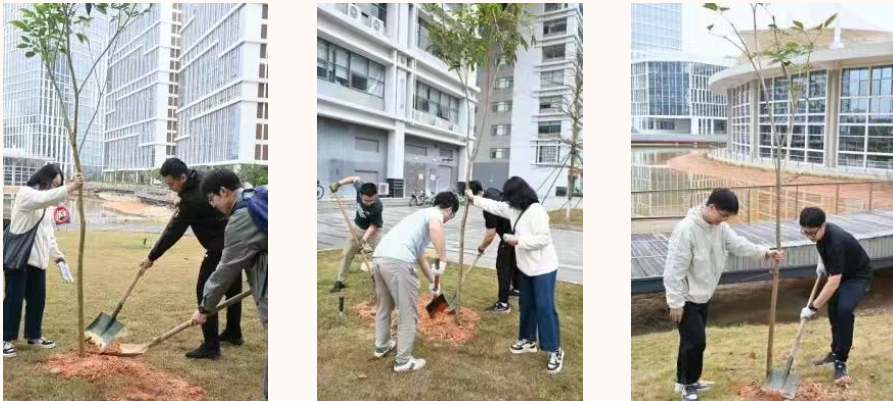 image-20250422103918-10