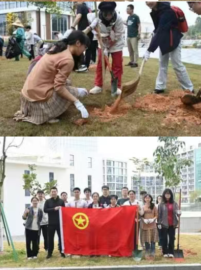 image-20250422103938-11